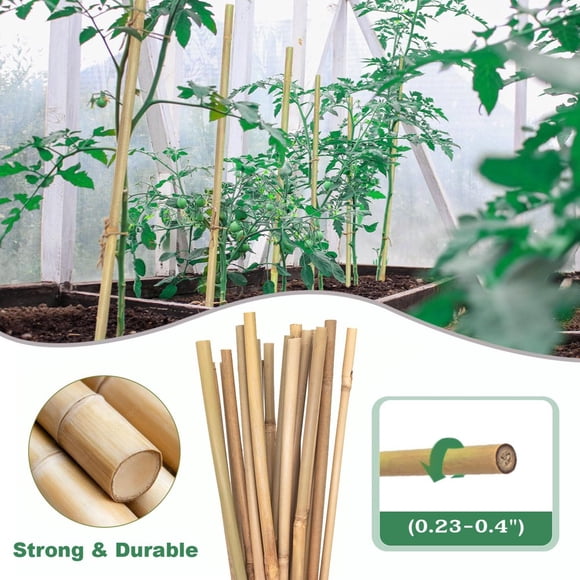 LOVEVER Plant Stakes 18 Inch Natural Garden Bamboo Sticks 20Pcs Plant Support Stakes for Tomatoes Beans Vegetable and Potted Plants(Width 0.23”-0.4”)