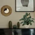 thumbnail image 2 of Mainstays 11in Indoor Artificial Plant in Pot, Green Peperomia., 2 of 5