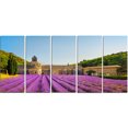 thumbnail image 2 of Abbey of Senanque Lavender Flowers, 2 of 3
