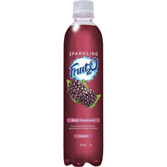 Fruit2O Framboise Noire 502ML