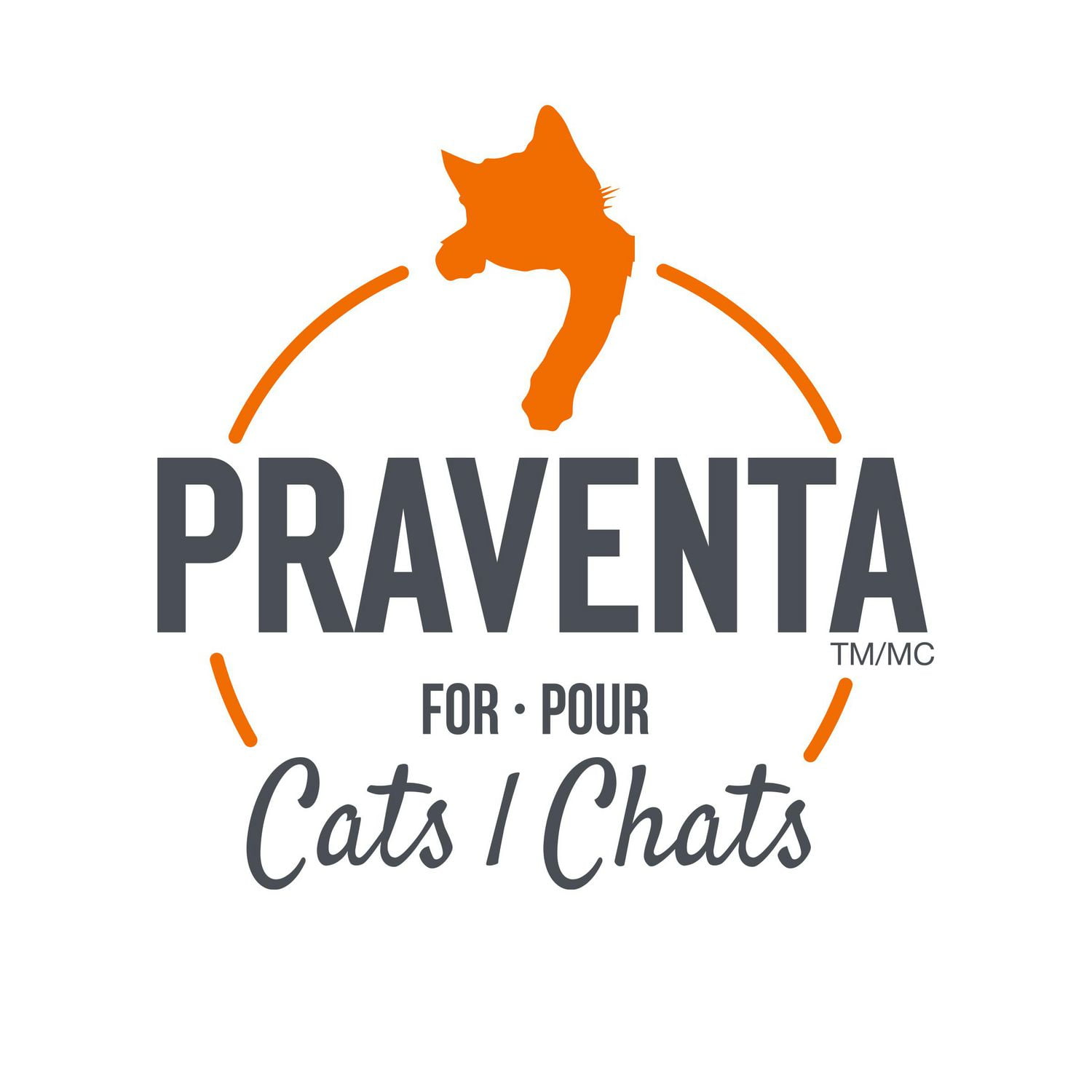 Parapet Praventa Traitement contre les Puces pour Chats de Petite Taille, 1 Tube