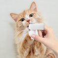 thumbnail image 4 of Pet Care Finger Toothbrush Soft for Dogs Cats Easy To Use Teeth Cleaning Tool Plaque Remover Grooming Supplies For Small Medium Large, 4 of 6