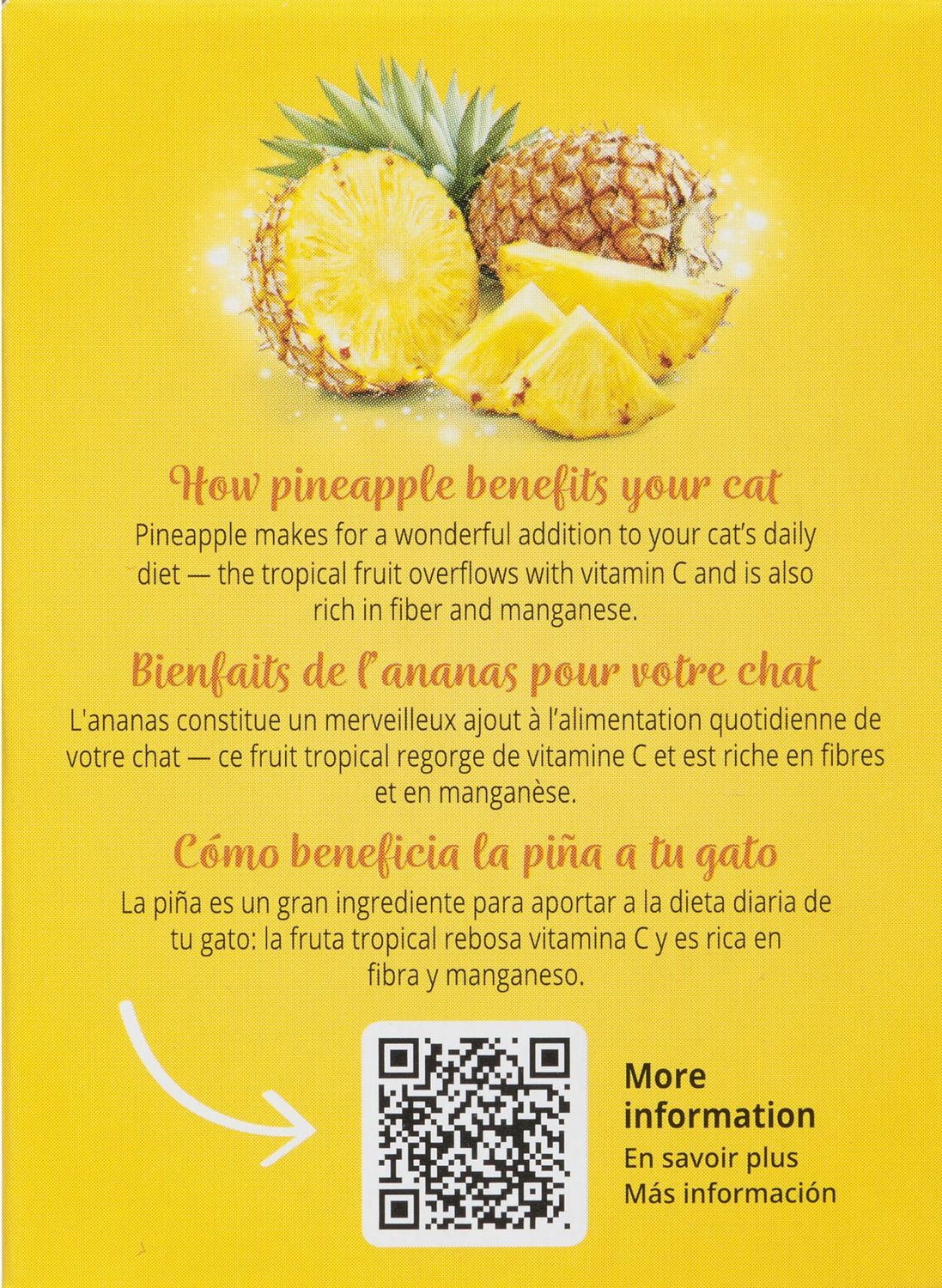 Mousse Catit Creamy Cups, Poulet avec ananas, 4 x 25 g