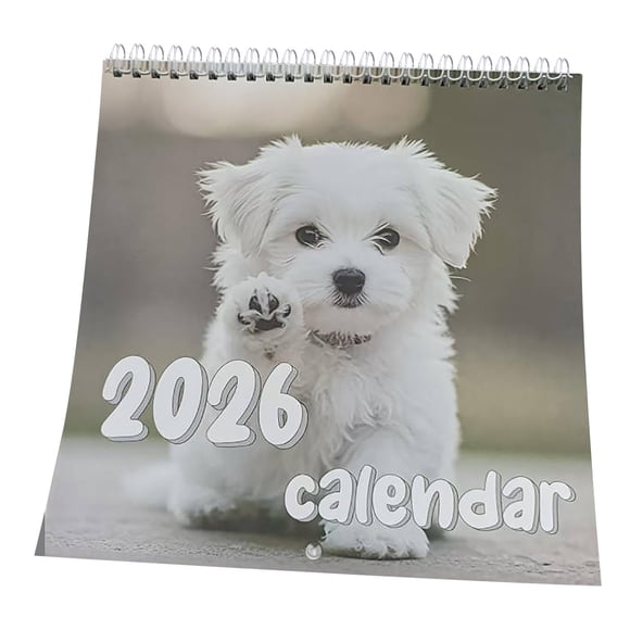 Chapeaux pour Chiens 2026 Calendrier Fantaisiste pour Chien avec Mignon Calendrier à Chapeaux