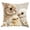 B, variante sur Housse de Coussin de Pâques Fausse Broderie Motif Lapin Imprimé 45 cm x 45 cm Housse de Coussin de Sofa en Polyester