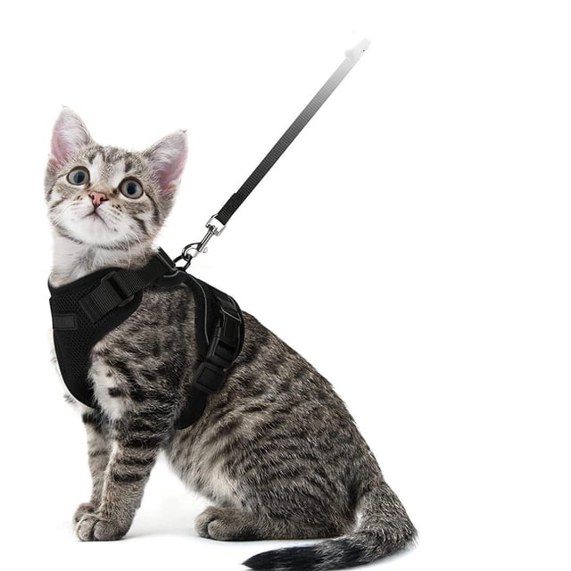 Yunuuuoa Adjustable Pet Harness Leash Set Soft Breathable Mesh Vest Walking Gear for Cats and Dogs Escape Proof Reflective Padded Control for Outdoor Travel Training