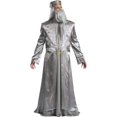 thumbnail image 1 of Disguise Men's Plus Size Harry Potter Dumbledore Deluxe Adult Costume, Silver, XXL (50-52), 1 of 5