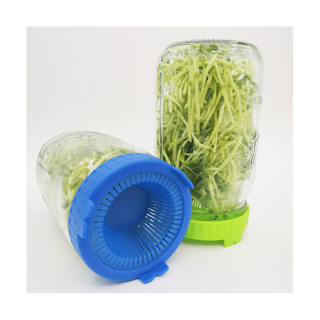 6PCS Sprouting Kit Sprout Jars Lids Mesh Lids for Wide Mouth Jars Indoor Microgreens Plants Growing Screen,A