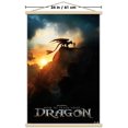 thumbnail image 3 of Dragons (2025) - Fiche d'information, 3 of 3