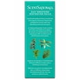 thumbnail image 4 of ScentSationals 100% Essential Oil - Easy Breathing, 4 of 8
