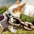 thumbnail image 4 of Durable Pet Leash for Outdoor Walking and Training with Funny Chain and Cats, 4 of 4