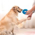 thumbnail image 4 of Durable Squeaky Spiky Ring Pet Toy Interactive Chew Teething for Puppy Dogs Outdoor Indoor Play Training Activity, 4 of 4