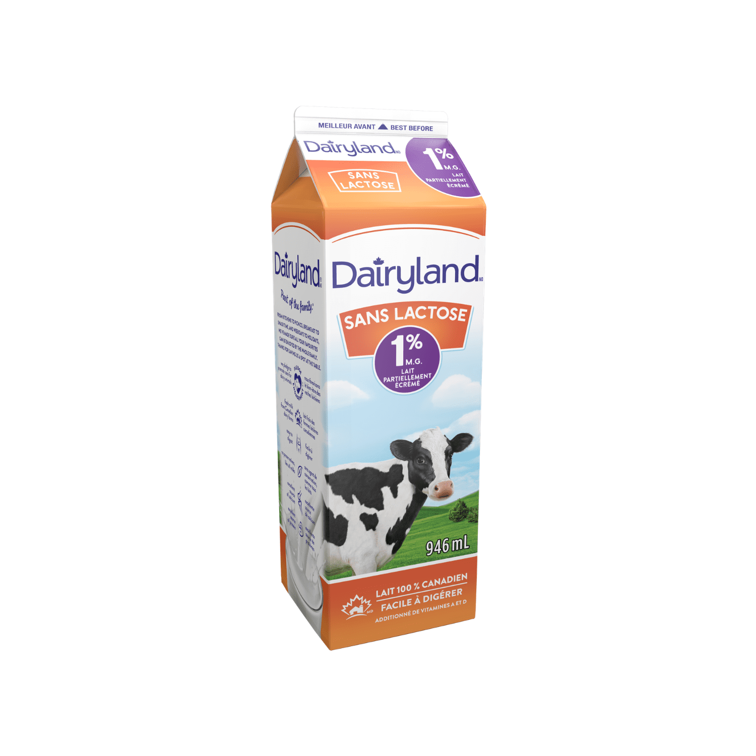 Dairyland Sans Lactose 1 % Lait Partiellement Écrémé