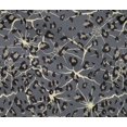 thumbnail image 4 of oneOone Cotton Flex Fabric Leopard Animal Skin Fabric Prints by Yard 40 Inch Wide, 4 of 4