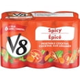 thumbnail image 1 of V8 SPICY, 1 of 4