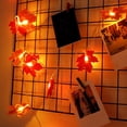 thumbnail image 3 of LED Light String Halloween Yard Decoration Lamp Thanksgiving Party Lighting  40 LED  6m  Flash  Leaf, 3 of 8