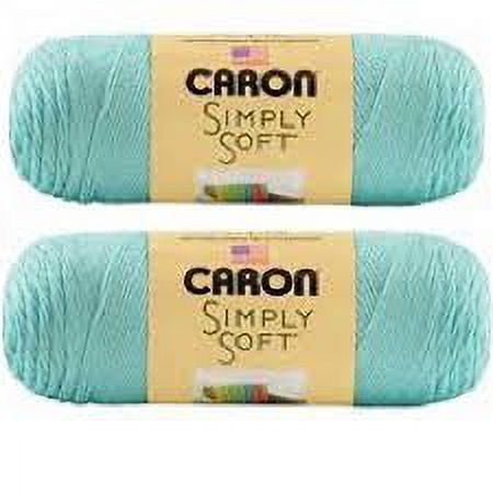 Bulk Buy: Caron Simply Soft Yarn Solids (2-Pack) (Robin's Egg)