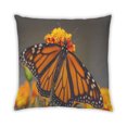 thumbnail image 2 of Ahgly Company Coussin Décoratif d'Extérieur avec Insectes et Papillons, 18 Po X 18 Po, 2 of 6