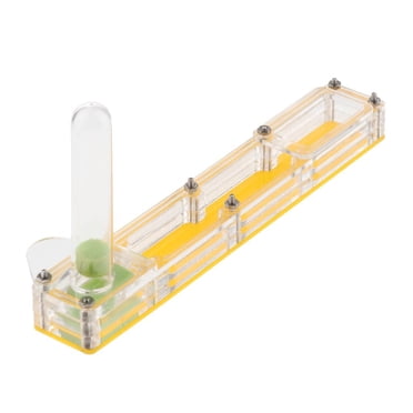 Tachiuwa Boîte en Acrylique Transparente pour Insectes, Nid d'Alimentation, Ferme, Jaune