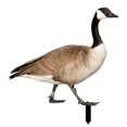 thumbnail image 1 of Duck Decor Realistic Life-like Ornamental Double-sided Printing Rustic Acrylic Garden Poultry Statue for Yard, 1 of 7