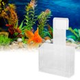 thumbnail image 4 of Aquatic Plants Holder, Holes Design Multi Purpose Acrylic Durable Long Hook Aquarium Hanging Aquatic Plant Holder Rounded Edges  For Fish  Small Hook,Large Hook, 4 of 8