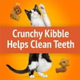 thumbnail image 4 of Friskies Party Mix Original Crunch, Cat Treats 454g, 4 of 9
