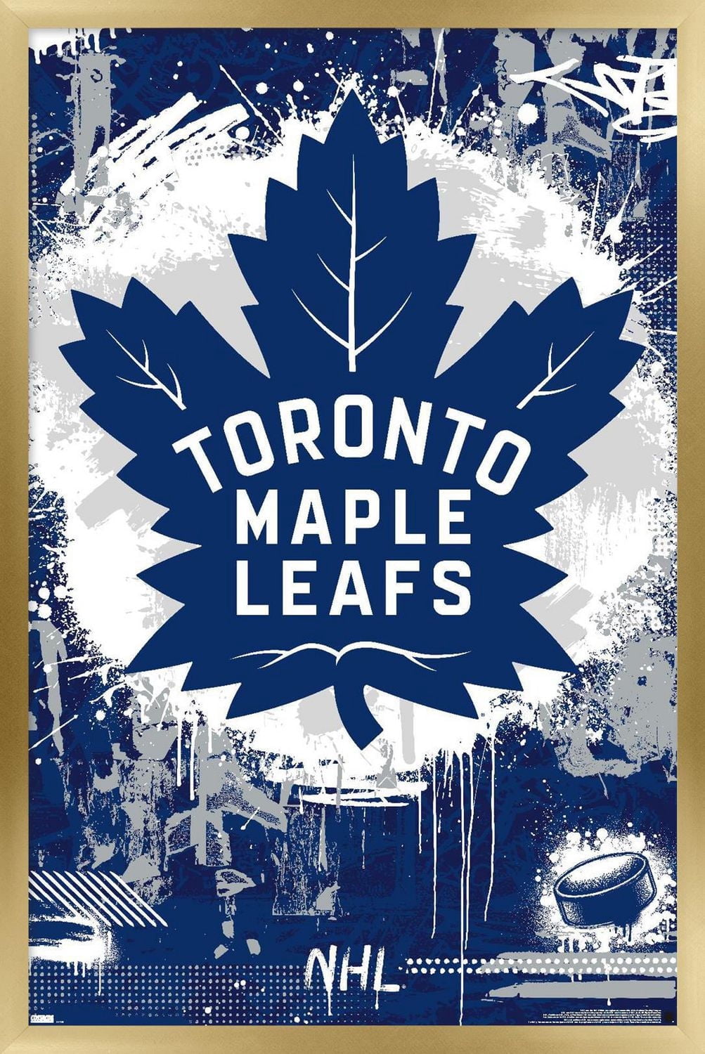 Maple Leafs de Toronto la LNH