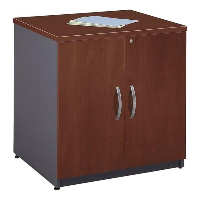 Series C 30W Storage Cabinet in Hansen Cherry - Engineered Wood
