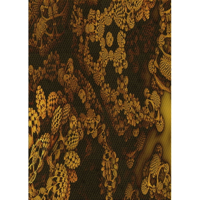 Ahgly Company Tapis Rectangulaire Lavable en Machine Intérieur Transitionnel Noir Brun, 2 Pieds x 5 Pieds