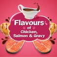 thumbnail image 4 of Friskies Gravy Swirlers, Dry Cat Food 7.26kg, 4 of 10