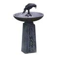 thumbnail image 1 of XZNGL Halloween Exquisite Crow Skeleton Resin Ornament - Beware Bird Bath, 1 of 9