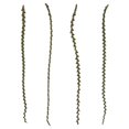 thumbnail image 1 of Vickerman H2LXL100 Échelle de Basilic 40-48 Po. Branches - Extra Grand, 1 of 1