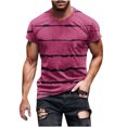 thumbnail image 2 of Qertyioot Chemises Hawaïennes pour Hommes en Solde, Col Rond Rayé Imprimé Pull Entraînement Physique Manches Courtes, 2 of 5
