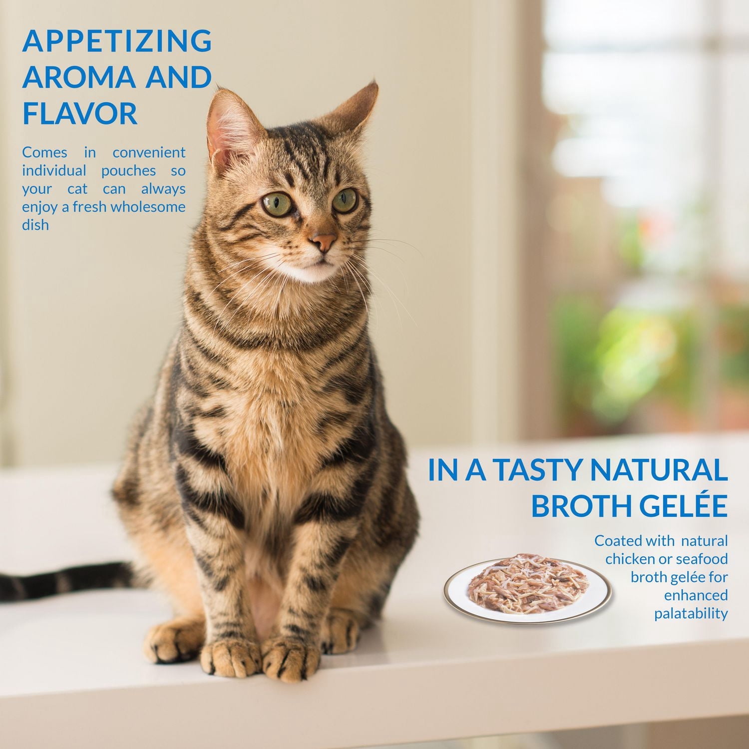INABA Twin Packs pour chats – Poulet et thon avec recette de pétoncle dans un bouillon de pétoncle, enrichi en vitamine E, 2 sachets (2 x 40 g), 80 g au total