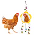 thumbnail image 3 of Chicken Mirror, Musical Funny Chicken Hanging Mirror Toys Safe Attractive  for Chicken Stuff Parakeet Bird Playing, 3 of 7