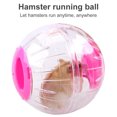 thumbnail image 4 of Exercise Ball Animal Toys Rolling Toys Plastic Perforated running accessories Jogging Running Accessories, Pink, 4 of 8