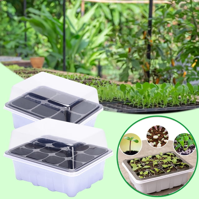 Vaidha Indoor Propagation Box Mini Greenhouse Propagation Set Tray With Lid 1/2/5PCS