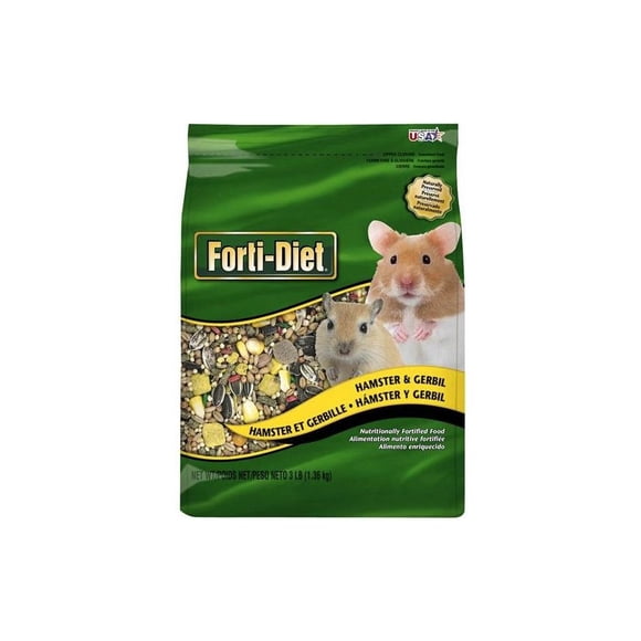 Kt Hamster