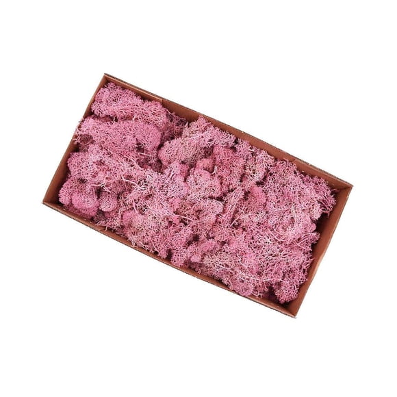 Xingzhi Natural Dried Reindeer Moss Treated Immortal moss Crafts DIY Floral Decor Pink