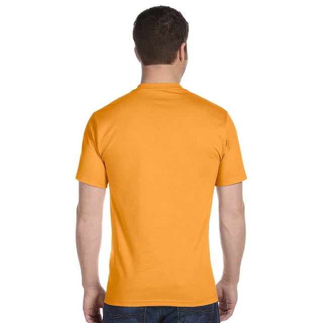 Hanes 5280 Hommes T-Shirt à Manches Courtes Lourd 5,2 Oz Sable Brun 2TG