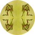 thumbnail image 1 of Ahgly Company Machine Washable Indoor Round Transitional Banana Yellow Area Rugs, 4' Round, 1 of 7