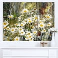 thumbnail image 2 of Designart - Daisies Flowers Under the Window - Floral Art Canvas Print, 2 of 4