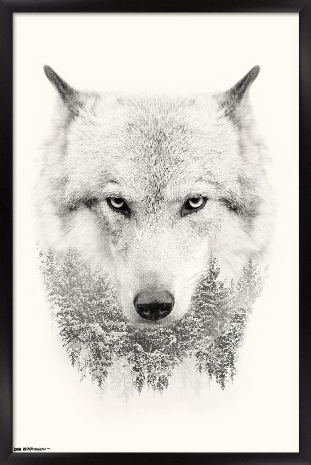 Wolf - Trees Wall Poster, 22.375" x 34"