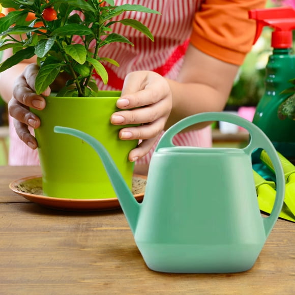 RKSTN Graden Watering Can Outdoor Plants, Plant Watering Can, Long Spout Watering Can for Indoor Bonsai Plants Garden Flowers 1/2 Gallon 2L