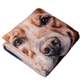 thumbnail image 1 of Pets, Paws and Ideas Couverture Imperméable pour Animaux de Compagnie pour Chiens et Chats, Protecteur Réversible pour Meubles, Lit et Canapé, Anti-Déversement, Lavable, Housse en Molleton Sherpa Douce, Motif Husky, 1 of 9