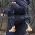 thumbnail image 2 of Harnais de Levage pour Chien Réglable Soutien Complet du Corps avec Poignée pour Petite Aide à la Récupération et Assistance à la Mobilité, 2 of 4