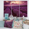 thumbnail image 1 of Designart Sunrise & Dramatic Clouds Over Lavender Field III Canvas Wall Art, 1 of 4