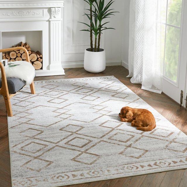 Rugking Area Rug 5X7 Kitchen Soft Rug Indoor Mat Geometric Print Floor Cover Thin Modern Carpet Doormat Non Slip Rugs for Living Bedroom Dining Room Taupe