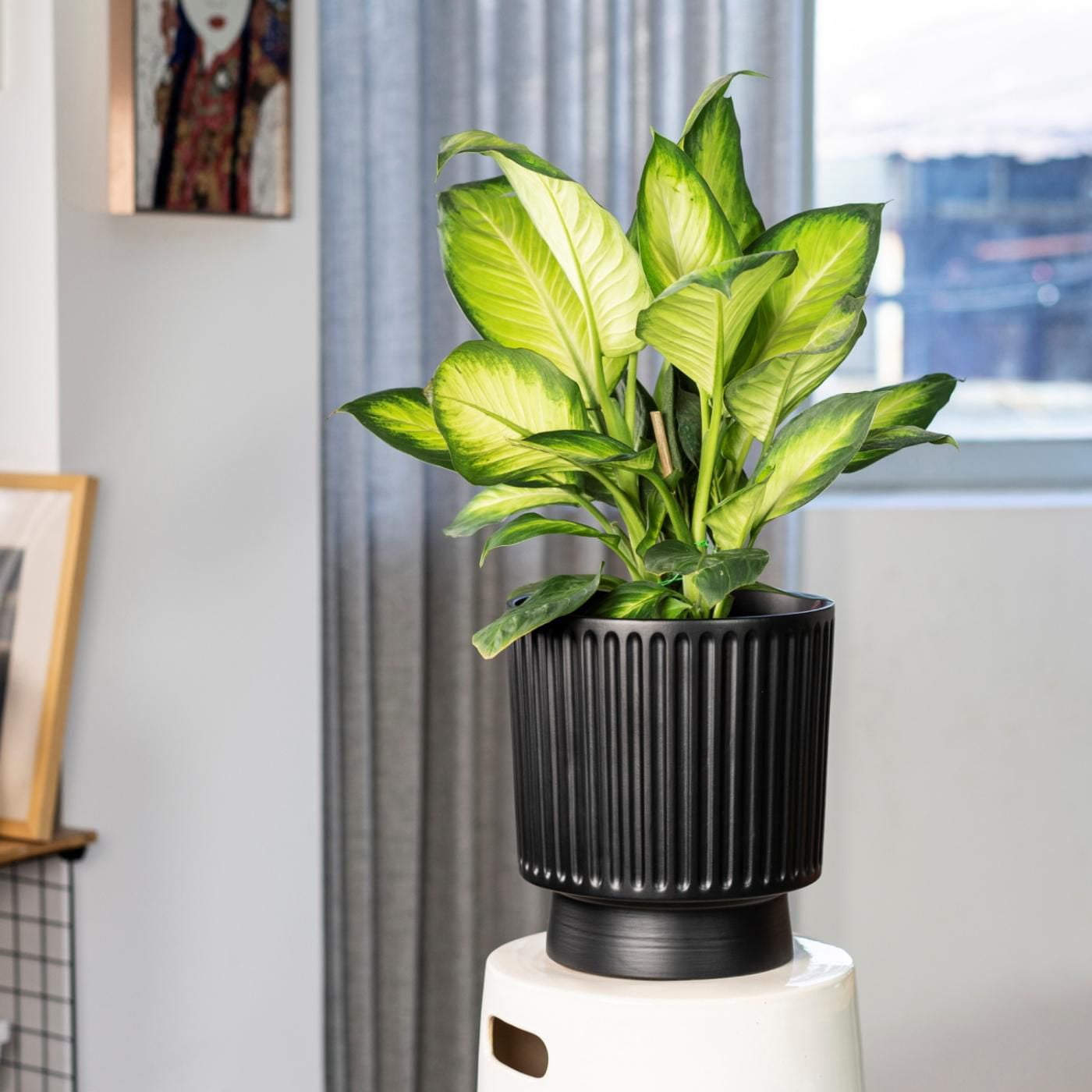 Hometrends Céramique Pot à rayures de 25,4 cm-Noir