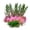 F, variant on CBFFDC Pollution-free Fish Decor Simulation Water Grass Artificial Plants Realistic Colors DIY Fish Tank Decor Easy Care Fish Safe Aquarium Decorative Accessories